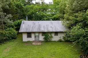 Tbd County Road 4838, Winnsboro, TX 75494 - Photo 31