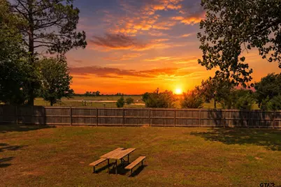 2374 S Fm 17, Alba, TX 75410 - Photo 25