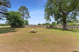 2374 S Fm 17, Alba, TX 75410 - Photo 23