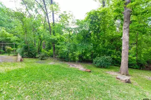 17573 Indian Summer Ln, Flint, TX 75762 - Photo 33