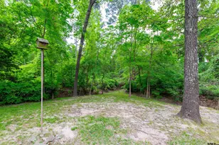 17573 Indian Summer Ln, Flint, TX 75762 - Photo 35