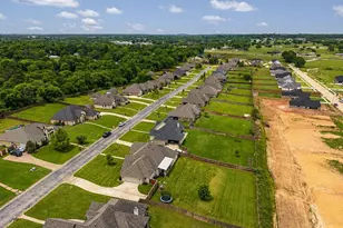 226 Sunnys Halo Blvd, Bullard, TX 75757 - Photo 43
