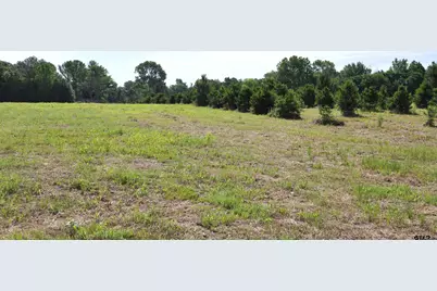 Tbd Vz County Road 4912, Van, TX 75790 - Photo 5