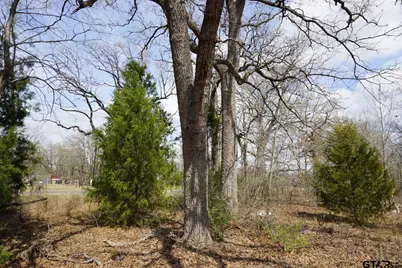 1698 Doc Holiday, Log Cabin, TX 75148 - Photo 7