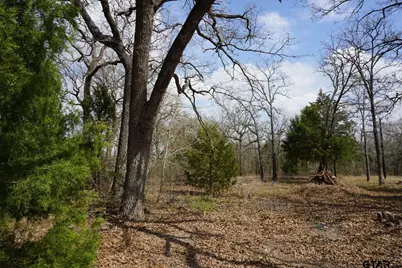 1698 Doc Holiday, Log Cabin, TX 75148 - Photo 11