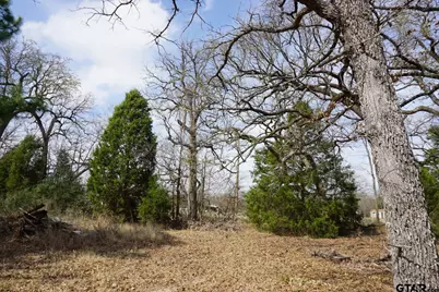 1698 Doc Holiday, Log Cabin, TX 75148 - Photo 5