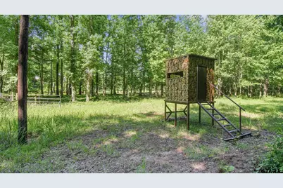 10448 Fm 858, Ben Wheeler, TX 75754 - Photo 33