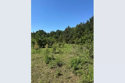 653 Fm 855 W, Jacksonville, TX 75766 - Photo 5