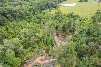 881 Vz County Road 4605, Ben Wheeler, TX 75754 - Photo 45