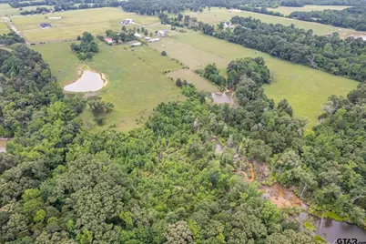 881 Vz County Road 4605, Ben Wheeler, TX 75754 - Photo 43