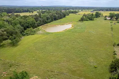 881 Vz County Road 4605, Ben Wheeler, TX 75754 - Photo 3