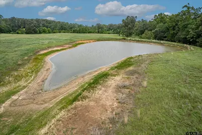 881 Vz County Road 4605, Ben Wheeler, TX 75754 - Photo 5