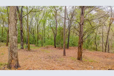 161 Fairway East, Hideaway, TX 75771 - Photo 7