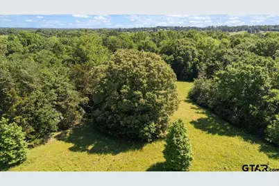 Tbd County Road 2395, Winnsboro, TX 75494 - Photo 11
