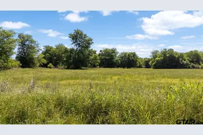 Tbd County Road 2395, Winnsboro, TX 75494 - Photo 19