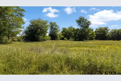 Tbd County Road 2395, Winnsboro, TX 75494 - Photo 21