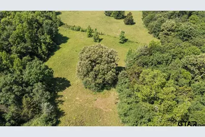 Tbd County Road 2395, Winnsboro, TX 75494 - Photo 9