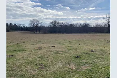 22479 Old Tyler Rd, Troup, TX 75789 - Photo 3