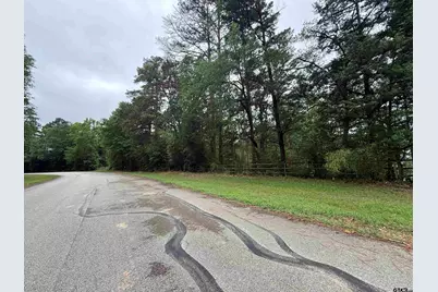 18706 Eastside Road, Troup, TX 75789 - Photo 3