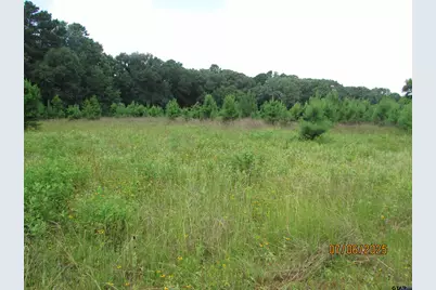 10878 Fm 19, Frankston, TX 75763 - Photo 47