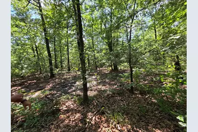 Lot 2 Cr 2710, Mt Pleasant, TX 75455 - Photo 33
