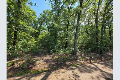 Lot 2 Cr 2710, Mt Pleasant, TX 75455 - Photo 21
