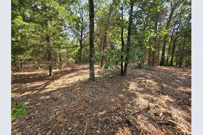 Lot 2 Cr 2710, Mt Pleasant, TX 75455 - Photo 7
