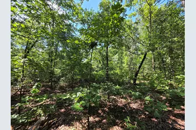 Lot 2 Cr 2710, Mt Pleasant, TX 75455 - Photo 43
