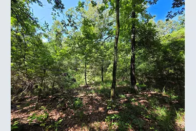Lot 2 Cr 2710, Mt Pleasant, TX 75455 - Photo 29