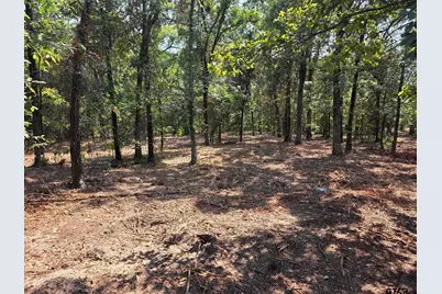 Lot 2 Cr 2710, Mt Pleasant, TX 75455 - Photo 3