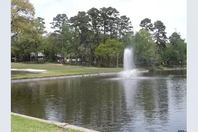 669 Holly Trail East 304Q, Holly Lake Ranch, TX 75765 - Photo 47