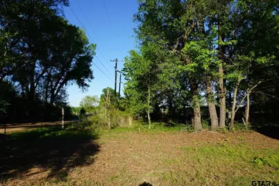 6902 Stella St, Murchison, TX 75778 - Photo 3