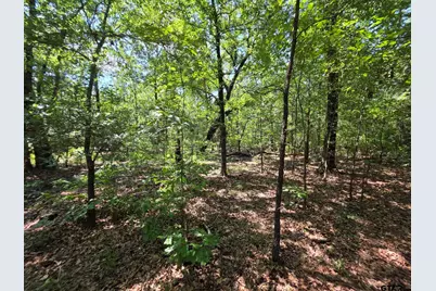 Lot 1 and 2 Cr 2710, Mt Pleasant, TX 75455 - Photo 19