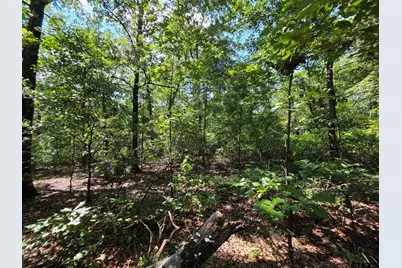 Lot 1 and 2 Cr 2710, Mt Pleasant, TX 75455 - Photo 31