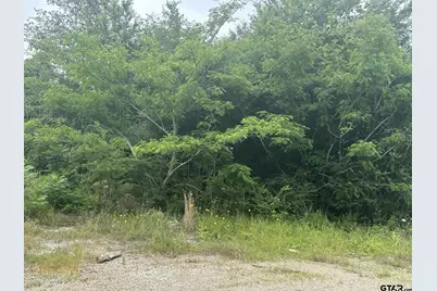 Tba E Hwy 31, Tyler, TX 75705 - Photo 5