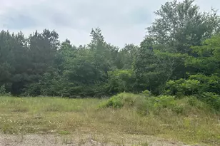 Tba E Hwy 31, Tyler, TX 75705 - Photo 1