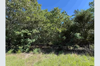 000 Cr 457, Mineola, TX 75773 - Photo 7