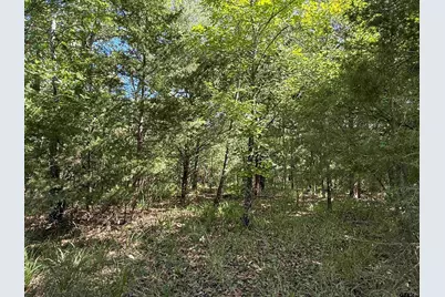 000 Cr 457, Mineola, TX 75773 - Photo 9