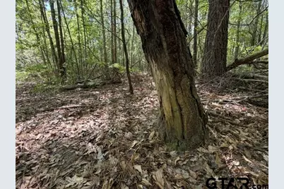 000 Fm 850, Tyler, TX 75705 - Photo 27