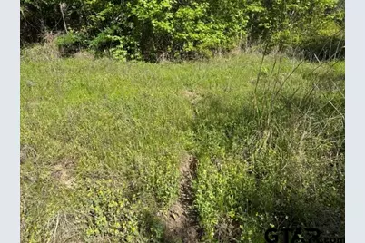 000 Fm 850, Tyler, TX 75705 - Photo 19