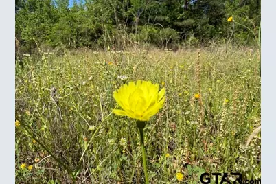 000 Fm 850, Tyler, TX 75705 - Photo 29