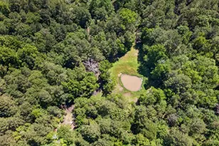 0 Anderson County Road 359, Palestine, TX 75801 - Photo 1
