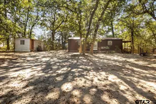 23207 Holly Rd, Mineola, TX 75773 - Photo 13