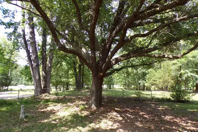 13946 E Hwy 31 E, Tyler, TX 75705 - Photo 3