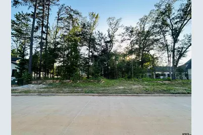 1868 Sentinel Way, Tyler, TX 75703 - Photo 3