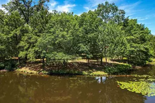 800 John Dean Rd, Gilmer, TX 75644 - Photo 7