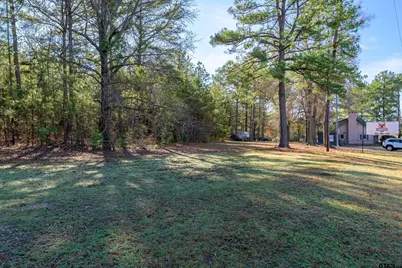 17795 State Highway 155, Flint, TX 75762 - Photo 3