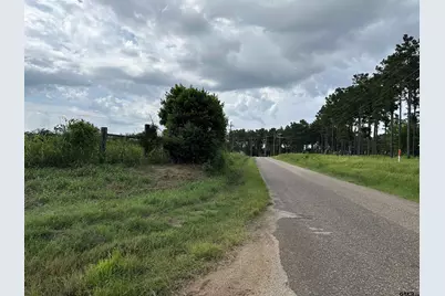 3697 An County Road 309 Tract 1, Frankston, TX 75763 - Photo 5