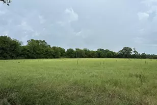 3697 An County Road 309 Tract 2, Frankston, TX 75763 - Photo 1
