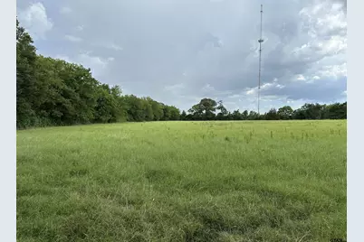 3697 An County Road 309 Tract 2 B North Tract, Frankston, TX 75763 - Photo 15